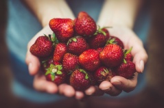 unsplash_strawberries